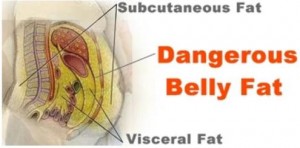 dangers of belly fat