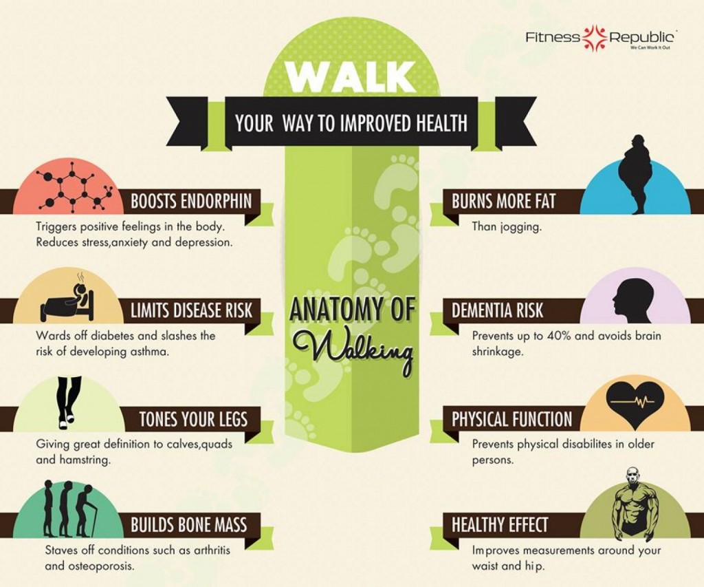 will walking help lose belly fat